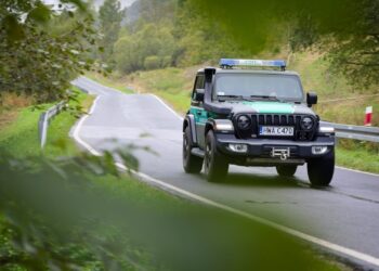 Poszukiwana ciężarówka zatrzymana na&nbsp;granicy