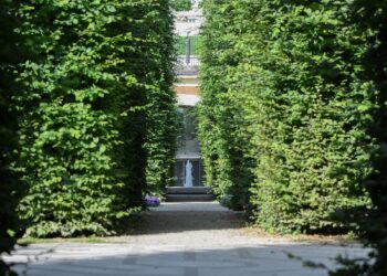 Wiosenne cięcie drzew i&nbsp;krzewów