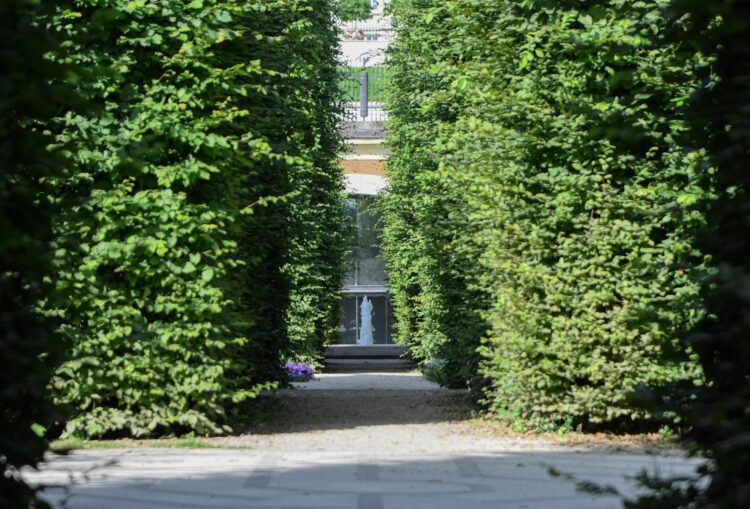 Wiosenne cięcie drzew i krzewów 1 - Polskie Radio Rzeszów Wiosenne cięcie drzew i krzewów