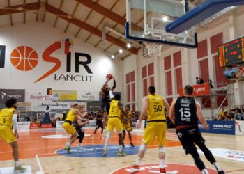 Wysokie loty łańcuckich Sokołów