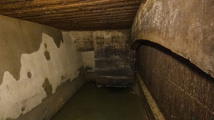 Odkrycie na budowie mostu kolejowego w Przemyślu