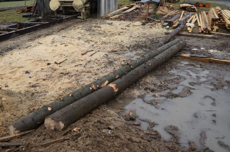 Dron namierzył złodzieja drewna 1 - Polskie Radio Rzeszów Dron namierzył złodzieja drewna