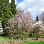 Arboretum w Bolestraszycach - Polskie Radio Rzeszów