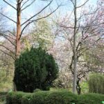 Arboretum w Bolestraszycach - Polskie Radio Rzeszów