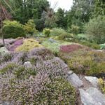 Arboretum w Bolestraszycach - Polskie Radio Rzeszów