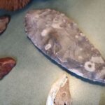 Pierwsi ludzie na Ziemi. Jak wyglądało ich życie? - Polskie Radio Rzeszów