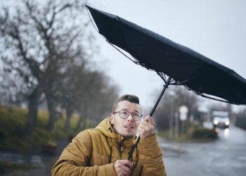 W&nbsp;regionie nadal silnie wieje. Kilkadziesiąt interwencji strażaków