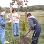 W Chmielniku jest ogród, który łączy mieszkańców - Polskie Radio Rzeszów