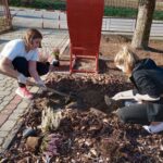 W Chmielniku jest ogród, który łączy mieszkańców - Polskie Radio Rzeszów