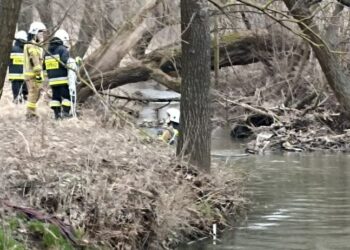 Trwają poszukiwania zaginionej 73-latki z&nbsp;powiatu jarosławskiego