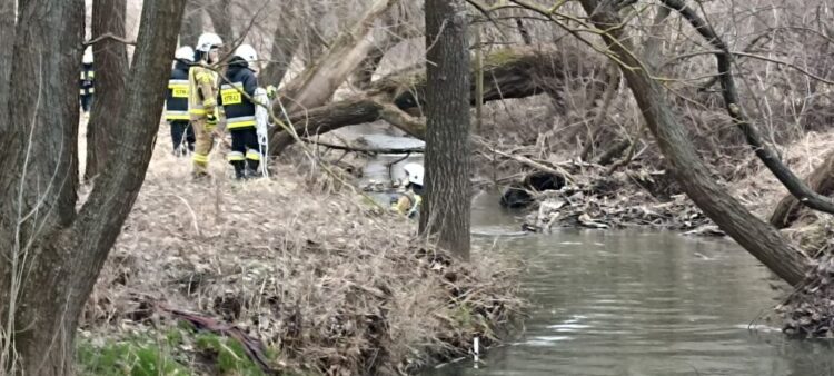 Trwają poszukiwania zaginionej 73-latki z powiatu jarosławskiego