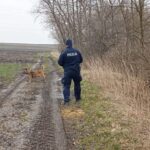 Trwają poszukiwania zaginionej 73-latki z powiatu jarosławskiego - Polskie Radio Rzeszów