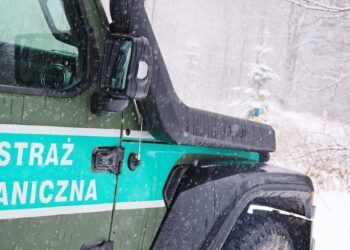 Skradzione w&nbsp;Niemczech i&nbsp;Danii auta zatrzymane na&nbsp;granicy