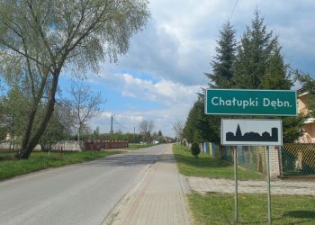 W&nbsp;gminie Leżajsk może powstać elektrociepłownia na&nbsp;biogaz