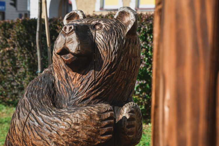 Akcja charytatywna w Ustrzykach Dolnych dla 10-letniego Łukasza