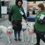 Dzisiaj na rzeszowskim Rynku finał akcji Animal Hero 4 - Polskie Radio Rzeszów Dzisiaj na rzeszowskim Rynku finał akcji Animal Hero - Polskie Radio Rzeszów