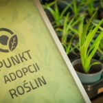 Przyjdź i zaadoptuj roślinkę! 4 - Polskie Radio Rzeszów Przyjdź i zaadoptuj roślinkę! - Polskie Radio Rzeszów