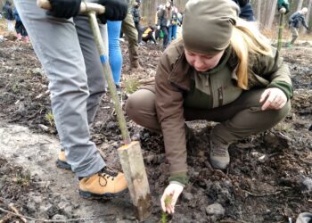 Akcja „Lasy pełne energii”