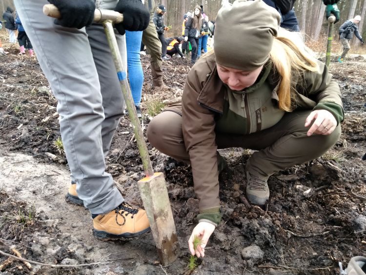 Akcja „Lasy pełne energii”