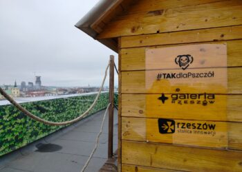 Bank Pszczeli pomoże poszkodowanym pszczelarzom