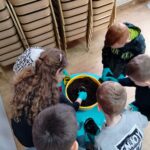 "Eko-Logiczni" uczą, jak dbać o środowisko 10 - Polskie Radio Rzeszów "Eko-Logiczni" uczą, jak dbać o środowisko - Polskie Radio Rzeszów