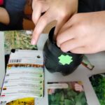 "Eko-Logiczni" uczą, jak dbać o środowisko 4 - Polskie Radio Rzeszów "Eko-Logiczni" uczą, jak dbać o środowisko - Polskie Radio Rzeszów