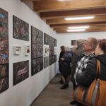 Z lasu do galerii sztuki. "Translokacje. Nieoczekiwany powrót" Krzysztofa Pisarka 2 - Polskie Radio Rzeszów Z lasu do galerii sztuki. "Translokacje. Nieoczekiwany powrót" Krzysztofa Pisarka - Polskie Radio Rzeszów