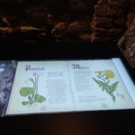 Podziemna trasa turystyczna w Przemyślu jest już dostępna 8 - Polskie Radio Rzeszów Podziemna trasa turystyczna w Przemyślu jest już dostępna - Polskie Radio Rzeszów