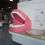 Podkarpackie Centrum Nauki "Łukasiewicz" otwarte (zdjecia) 11 - Polskie Radio Rzeszów Podkarpackie Centrum Nauki "Łukasiewicz" otwarte (zdjecia) - Polskie Radio Rzeszów