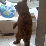 Podkarpackie Centrum Nauki "Łukasiewicz" otwarte (zdjecia) 15 - Polskie Radio Rzeszów Podkarpackie Centrum Nauki "Łukasiewicz" otwarte (zdjecia) - Polskie Radio Rzeszów