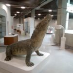 Podkarpackie Centrum Nauki "Łukasiewicz" otwarte (zdjecia) 16 - Polskie Radio Rzeszów Podkarpackie Centrum Nauki "Łukasiewicz" otwarte (zdjecia) - Polskie Radio Rzeszów