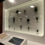 W Zamkolandii odwiedziliśmy Podkarpackie Centrum Nauki "Łukasiewicz" - Polskie Radio Rzeszów