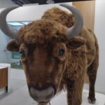 W Zamkolandii odwiedziliśmy Podkarpackie Centrum Nauki "Łukasiewicz" - Polskie Radio Rzeszów