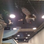 W Zamkolandii odwiedziliśmy Podkarpackie Centrum Nauki "Łukasiewicz" - Polskie Radio Rzeszów