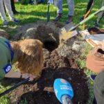 Ogród kieszonkowy przy Moście Narutowicza w Rzeszowie - Polskie Radio Rzeszów