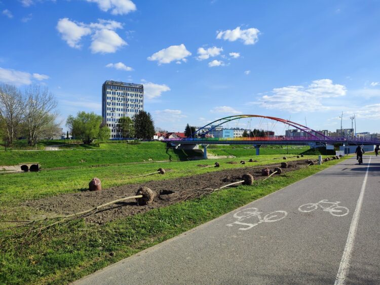 Ogród kieszonkowy przy Moście Narutowicza w Rzeszowie