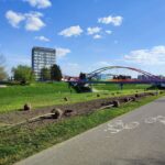 Ogród kieszonkowy przy Moście Narutowicza w Rzeszowie - Polskie Radio Rzeszów