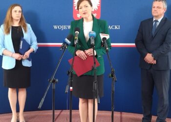 Działalność środowiskowych domów samopomocy na&nbsp;Podkarpaciu