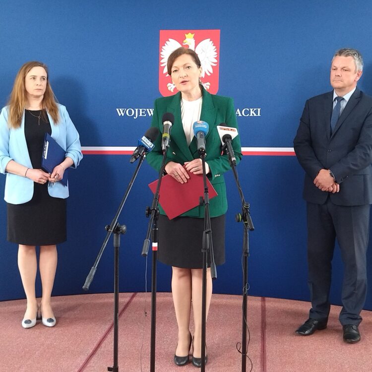 Działalność środowiskowych domów samopomocy na Podkarpaciu