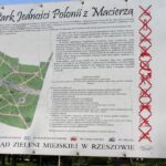 Zielono w rzeszowskich parkach - Polskie Radio Rzeszów