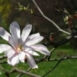 Zielono w rzeszowskich parkach - Polskie Radio Rzeszów