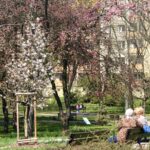 Zielono w rzeszowskich parkach - Polskie Radio Rzeszów