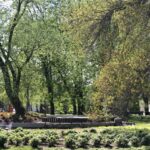 Zielono w rzeszowskich parkach - Polskie Radio Rzeszów