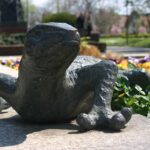 Zielono w rzeszowskich parkach - Polskie Radio Rzeszów