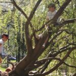 Zielono w rzeszowskich parkach - Polskie Radio Rzeszów