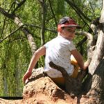 Zielono w rzeszowskich parkach - Polskie Radio Rzeszów