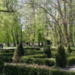 Zielono w rzeszowskich parkach - Polskie Radio Rzeszów