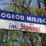 Zielono w rzeszowskich parkach - Polskie Radio Rzeszów