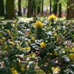 Zielono w rzeszowskich parkach - Polskie Radio Rzeszów