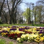 Zielono w rzeszowskich parkach - Polskie Radio Rzeszów